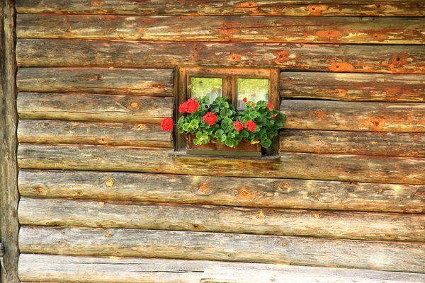 Maintaining Your Log Cabin With Preservatives